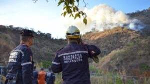 Afectadas más de 61 mil hectáreas a causa de los incendios forestales en el país