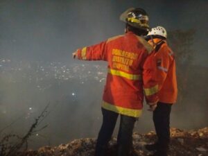Autoridades combaten incendios forestales en Carabobo, Miranda y Caracas