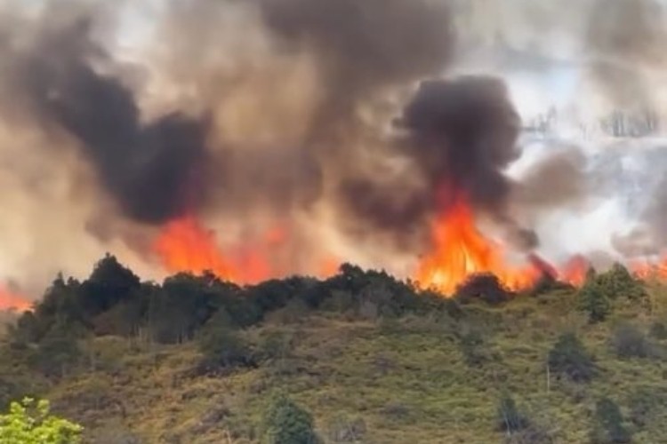 Bomberos en Pasto controlaron 4 incendios forestales