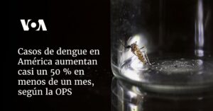 Casos de dengue en América aumentan casi un 50 % en menos de un mes, según la OPS