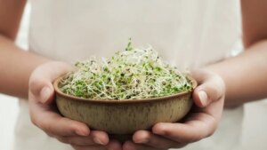 Cómo incorporar y cocinar la alfalfa en nuestros platos para aprovechar al máximo sus propiedades