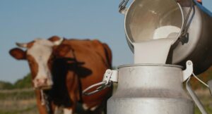 Crisis de la industria de leche en Colombia; qué pasa con la venta del producto