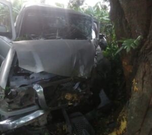 Cuatro heridos dejó choque de una camioneta contra un árbol en el Sur del Lago: Entre las víctimas hay una niña