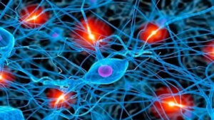 Descubren neuronas relacionadas con la búsqueda compulsiva de alimentos