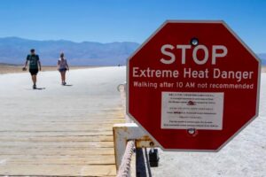 “Directores de calor”: la estrategia que están adoptando varias ciudades del mundo para enfrentar los efectos de las temperaturas extremas - AlbertoNews