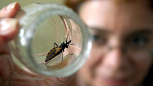 Enfermedad de Chagas puede dar muerte súbita