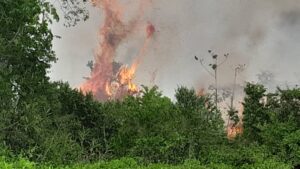 Fuerte incendio forestal podría dejar sin electricidad a tres municipios del Sur del Lago de Maracaibo