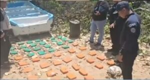 Incautan 50 panelas de marihuana ocultas dentro de un peñero en Tocópero, Falcón