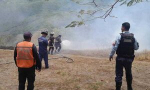 Incendio forestal en la autopista fue sofocado por Bomberos de La Guaira