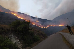 Incendios forestales han afectado más de 60 mil hectáreas del país