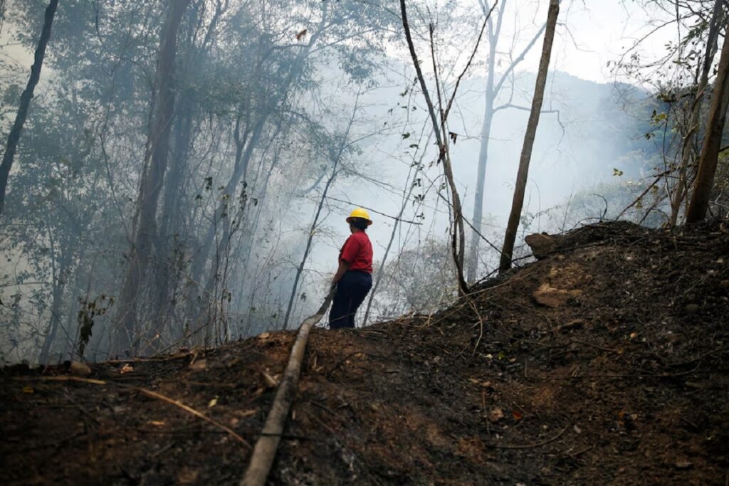 Incendios forestales récord azotan Venezuela durante la sequía amazónica 