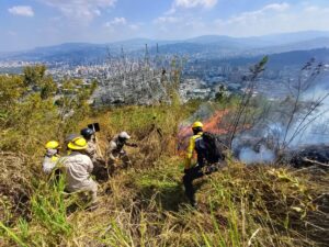 Inparques alertó sobre migración de fauna por incendios forestales