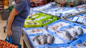 Las claves para saber si un pescado es de calidad o no, según la OCU