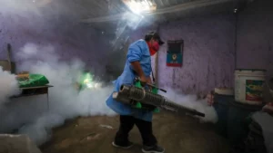 Perú convoca a una gran "fumigatón" en ocho regiones para combatir la amenaza del dengue - AlbertoNews