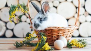 Por qué la Pascua se relaciona con conejos y huevos