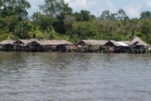 Reportan muerte de niños indígenas por extraña enfermedad en Delta Amacuro