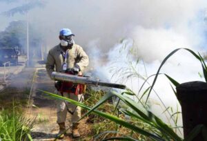 Sociedad de Infectología advierte sobre epidemia de dengue en Brasil
