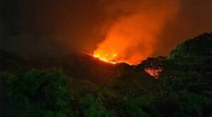 Sofocan 90% de los incendios forestales en Carabobo