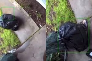 Un ladrón se disfrazó de bolsa de basura para robar paquetes que estaban en la entrada de la puerta de una casa