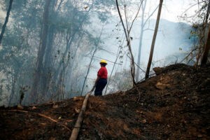 Venezuela enfrenta un récord en incendios forestales por la sequía causada por el cambio climático