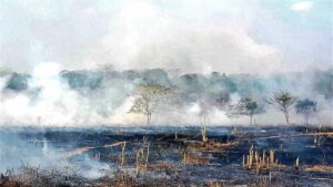 autoridades extienden recomendaciones ante la alerta de incendios forestales