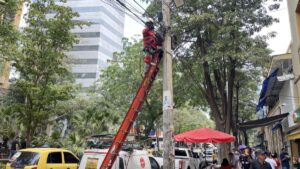 retiro de cableado aéreo en el Paseo Bolívar