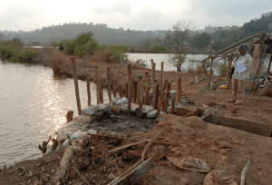 ¿La preservación de los khazans de Goa puede abordar las amenazas climáticas?