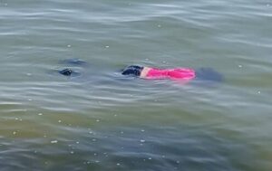 ¿Quién es la chica de la franela roja que apareció ahogada en la bahía de Isla Dorada?: Nadie reclama su cuerpo