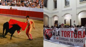 Así reacciona Colombia a la prohibición de las corridas de toros: “Punto final a la barbarie y el maltrato” - AlbertoNews
