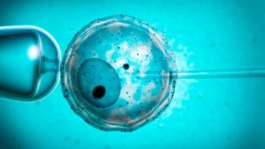 Científicos logran generar precursores de espermatozoides y óvulos con células iPS