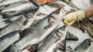 Cómo limpiar correctamente el pescado en cinco sencillos pasos
