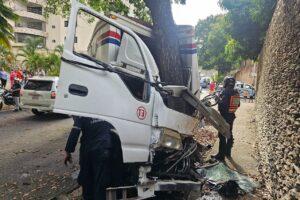 Falleció conductor de camión tras chocar contra árbol en El Parral