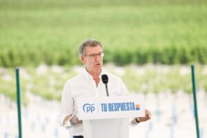 Feijóo dice que Ribera ha sido "la que más ha ninguneado a la agricultura" y que el PSOE "es el problema del campo"