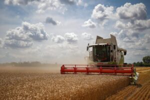 La UE aumenta drásticamente sus importaciones de cereales y abonos rusos |