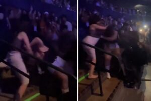 La fuerte tángana que se armó entre varias mujeres durante un concierto de Bad Bunny en EE.UU. (+Video)