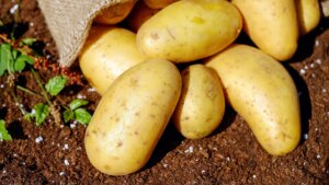 Qué tipo de patatas son las más saludables y cómo cocinar cada una de ellas