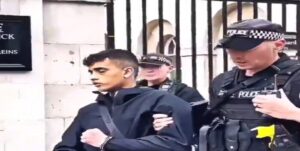Un tiktoker fue detenido por molestar a un guardia Real Británico (Video) - AlbertoNews