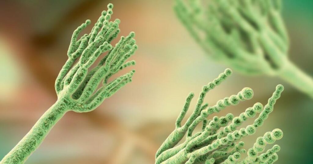 ¿De dónde salen los antibióticos?