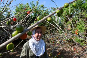 Agricultora aspira a multiplicar oportunidades de la permacultura en Cuba