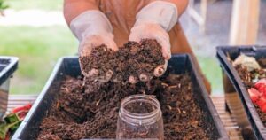 Bacterias y medio ambiente: una simbiosis necesaria