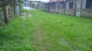 Calles de la comunidad Simón Rodríguez de Guárico son puro barro con la llegada de las lluvias