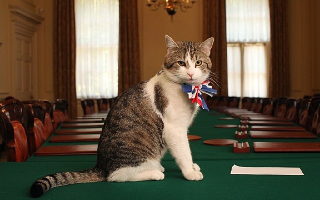Cinco gatos famosos que dejaron "huella" en la historia