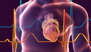 Cómo el cambio climático afecta a la salud cardíaca de las personas, según un estudio - AlbertoNews