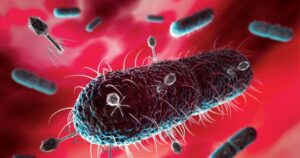 Descubre a Escherichia coli, la bacteria con dos caras