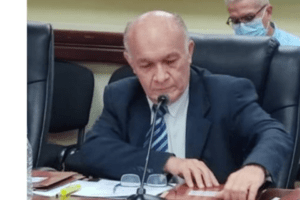 copei diputado tsj elecciones
