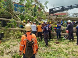 Dos fallecidos y al menos cuatro heridos dejó la caída de un árbol en Delta Amacuro: lo que se sabe