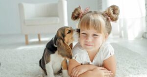 El corazón de la lealtad: entendiendo la bondad canina