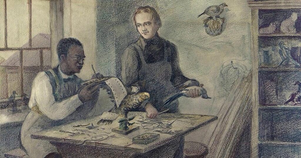 El esclavo que le enseñó taxidermia a Darwin
