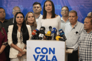 “El régimen criminaliza la ruta electoral” (+Video)