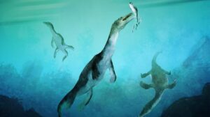 reptil marino polar